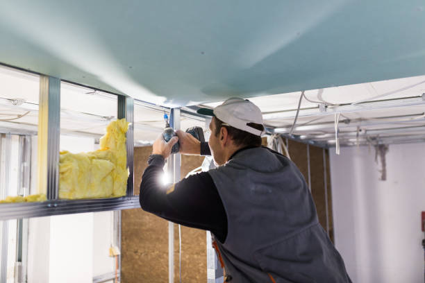 Types of Insulation We Offer in Martin, SD