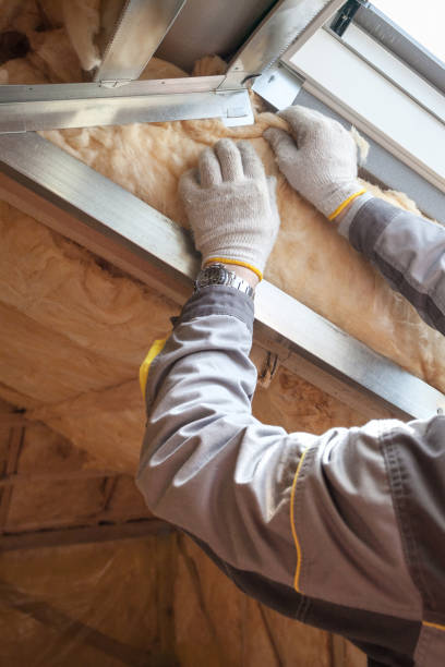 Best Cellulose Insulation in Martin, SD